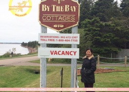 Đồ đồng mỹ nghệ đẹp